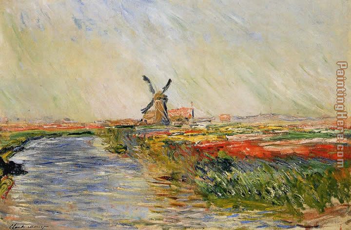 Champ de tulipes en hollande painting - Claude Monet Champ de tulipes en hollande art painting